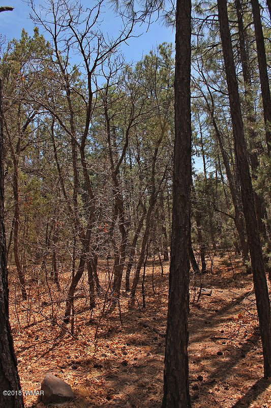 1335 Rim Road Lakeside, AZ 85929 - Photo 41 of 45