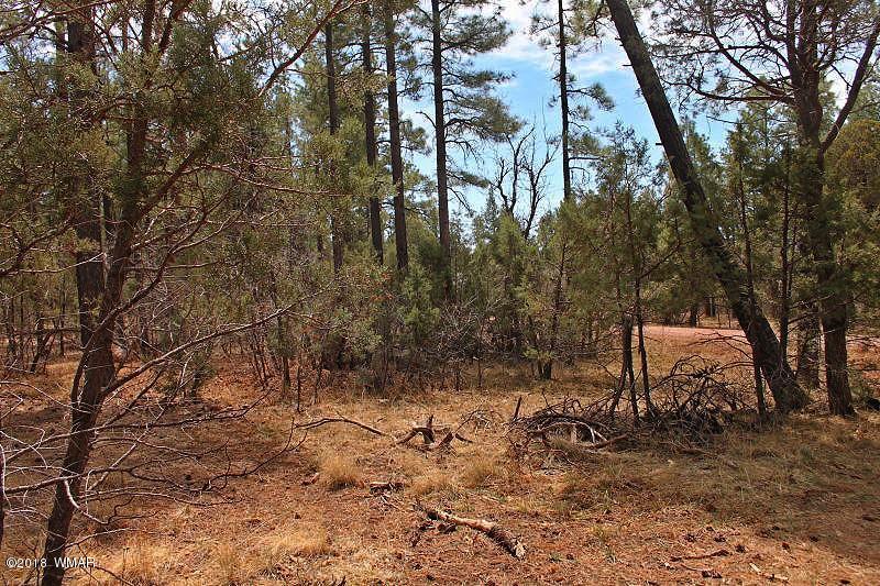 1335 Rim Road Lakeside, AZ 85929 - Photo 42 of 45