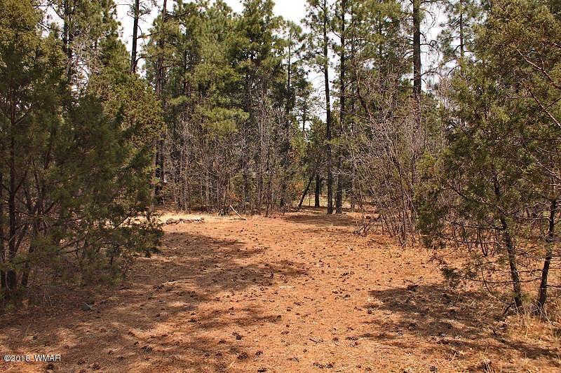 1335 Rim Road Lakeside, AZ 85929 - Photo 43 of 45