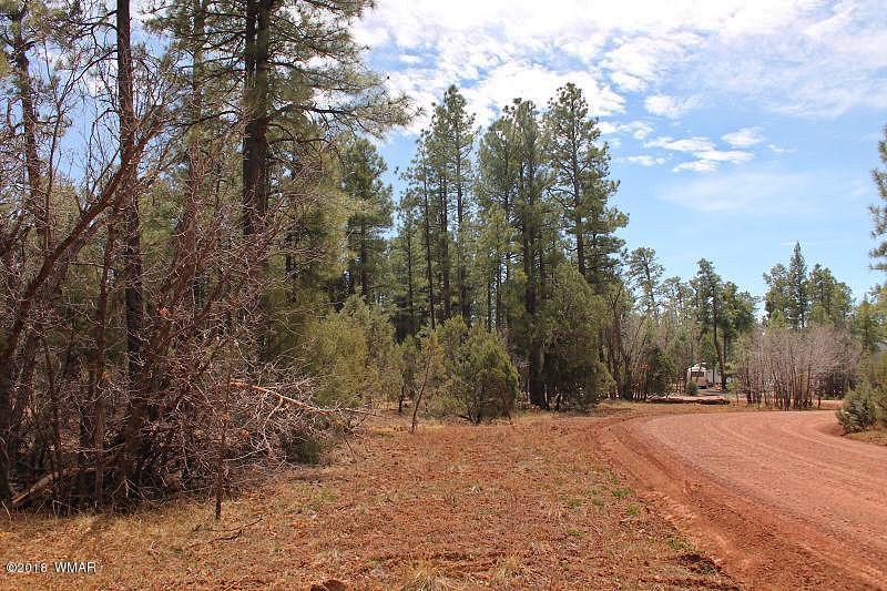 1335 Rim Road Lakeside, AZ 85929 - Photo 44 of 45