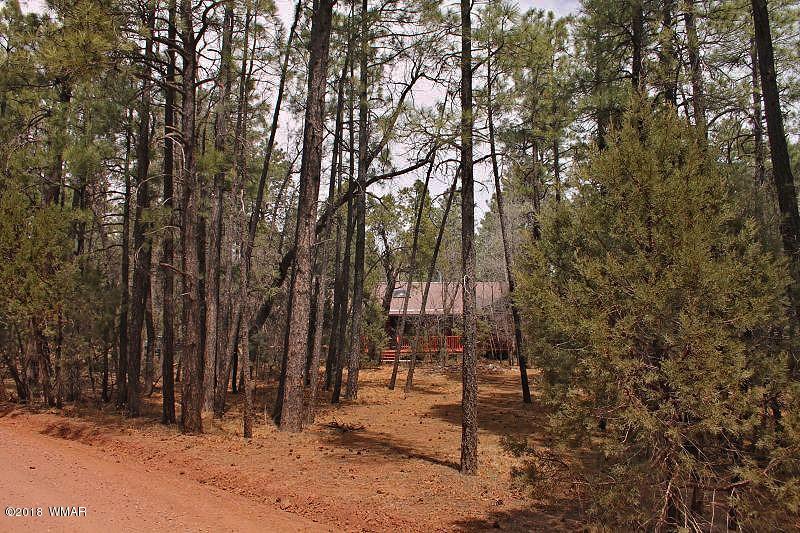 1335 Rim Road Lakeside, AZ 85929 - Photo 45 of 45