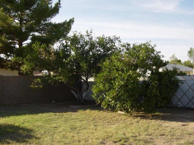 4204 West Hatcher Road Phoenix, AZ 85051 - Photo 4 of 6 Additional Photo