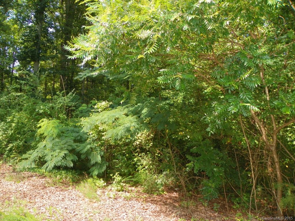1436 Elder Road Rock Hill, SC 29732 - Photo 11 of 24 Gallery Image 11