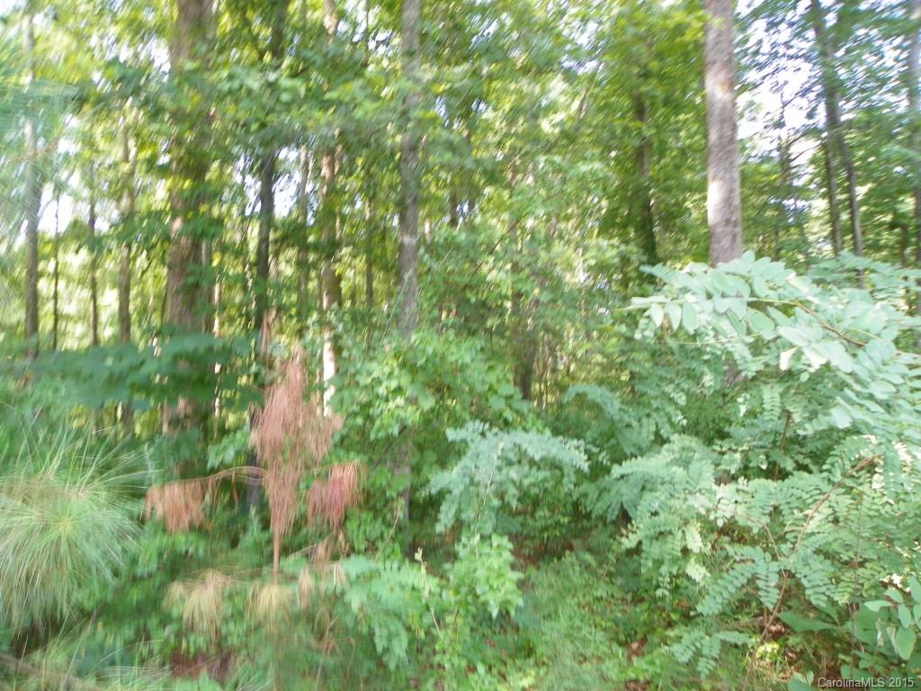 1436 Elder Road Rock Hill, SC 29732 - Photo 12 of 24 Gallery Image 12