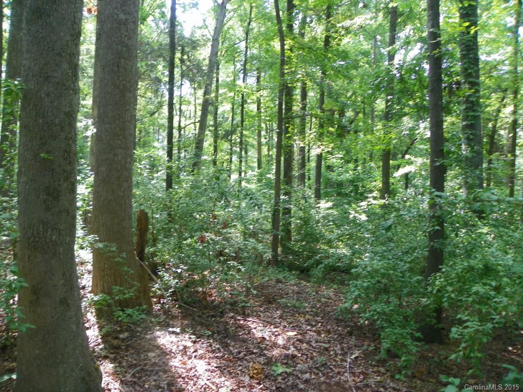1436 Elder Road Rock Hill, SC 29732 - Photo 15 of 24 Gallery Image 15