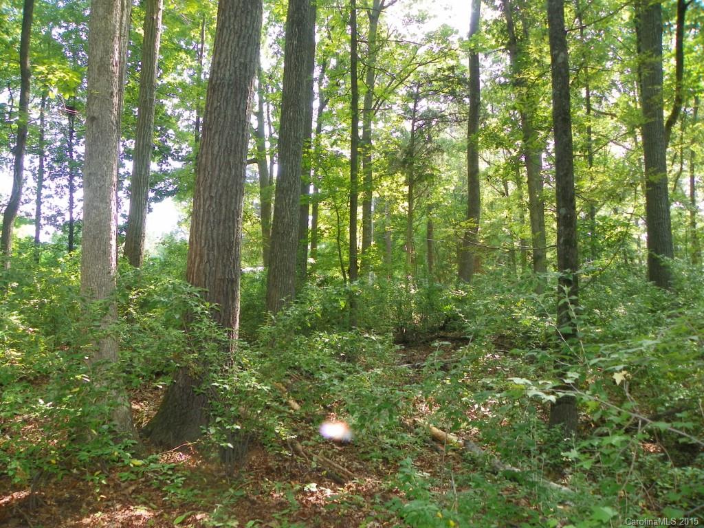 1436 Elder Road Rock Hill, SC 29732 - Photo 16 of 24 Gallery Image 16