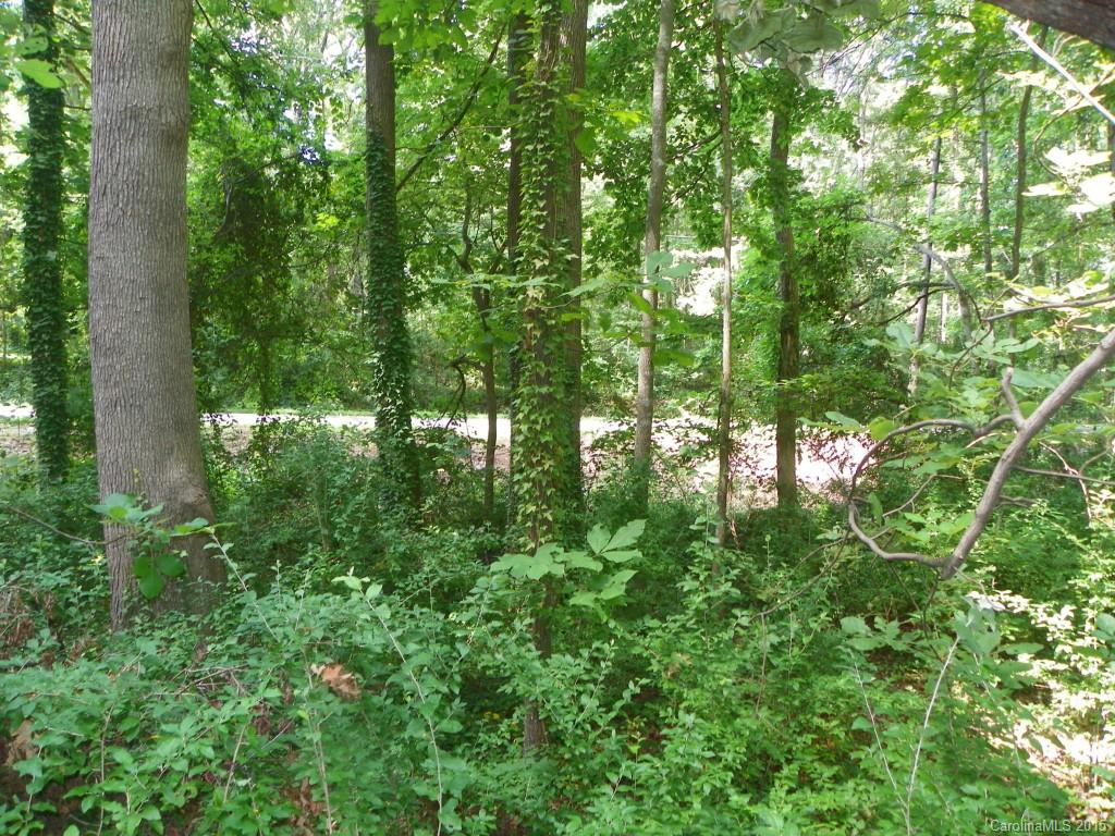 1436 Elder Road Rock Hill, SC 29732 - Photo 18 of 24 Gallery Image 18