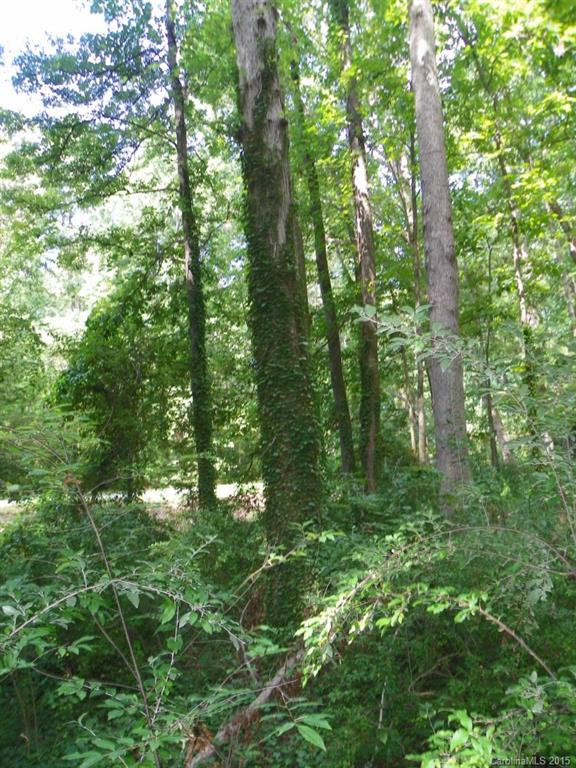 1436 Elder Road Rock Hill, SC 29732 - Photo 20 of 24 Gallery Image 20