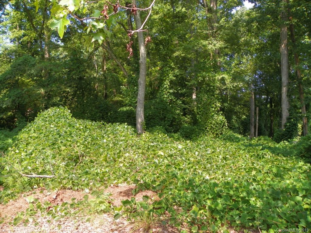1436 Elder Road Rock Hill, SC 29732 - Photo 9 of 24 Gallery Image 9