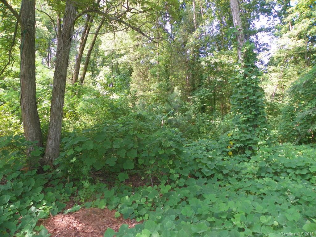 1436 Elder Road Rock Hill, SC 29732 - Photo 10 of 24 Gallery Image 10