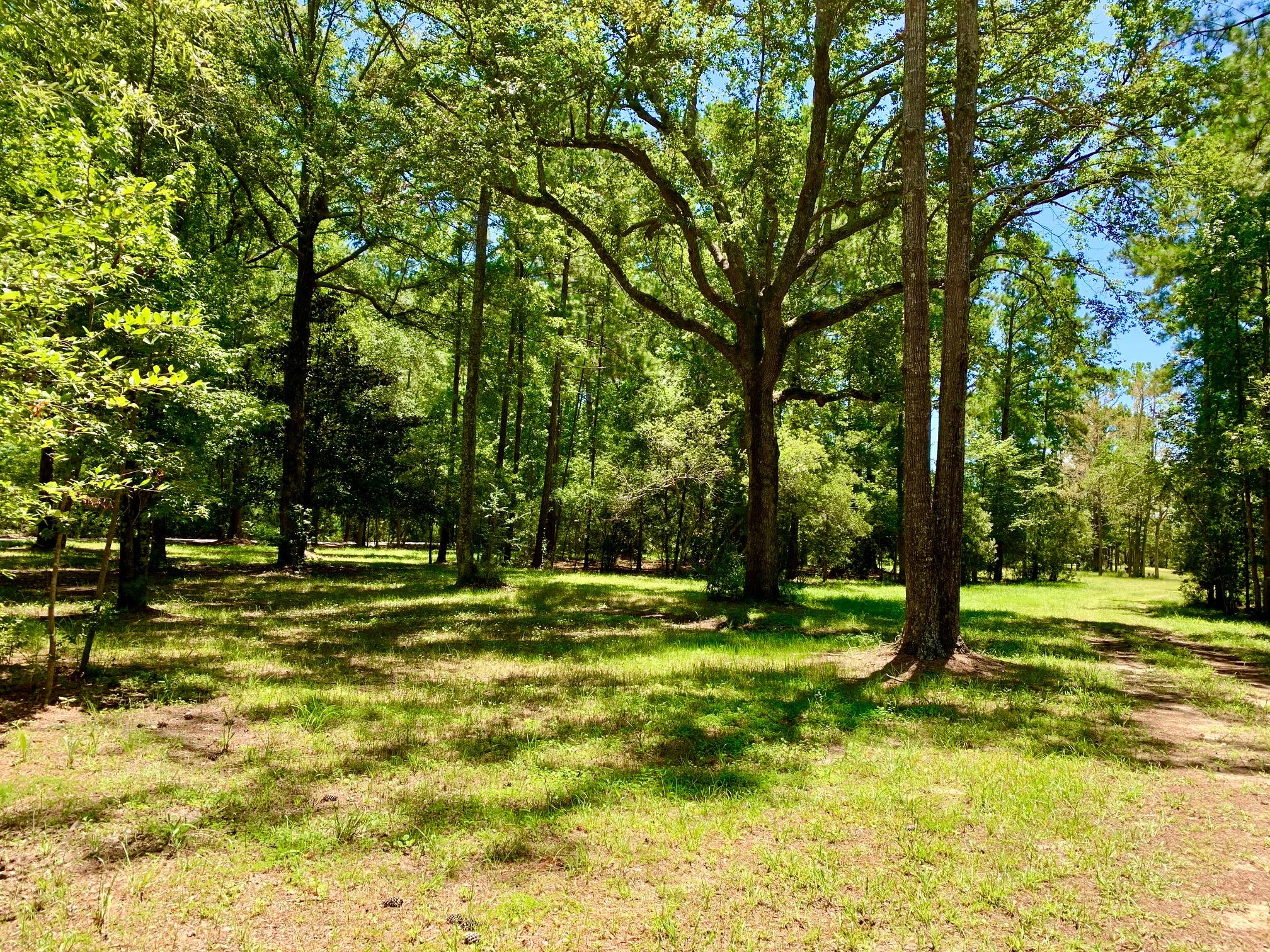 1945 Ronlin Farm Road Awendaw, SC 29429 - Photo 8 of 12 IMG_6298