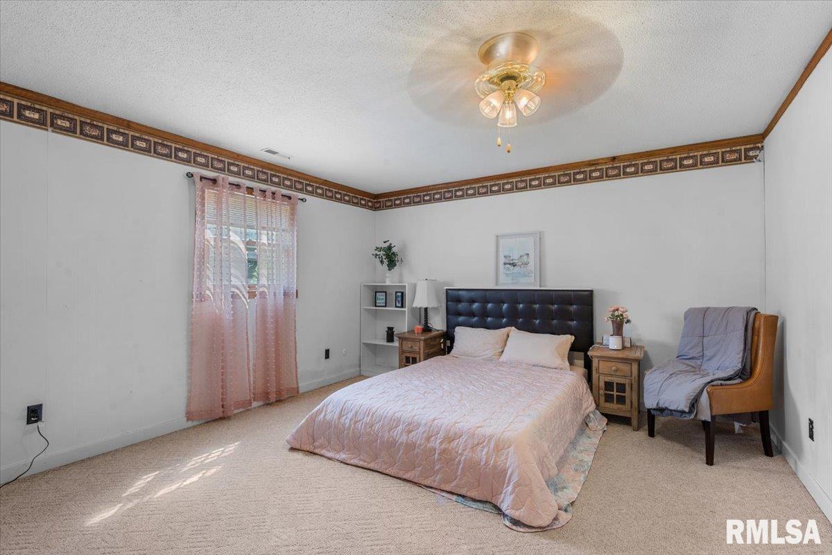 5260 River View Road Riverton, IL 62561 - Photo 24 of 34