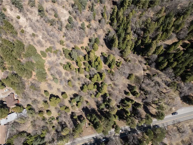 a view of a lush green hillside and a mountain