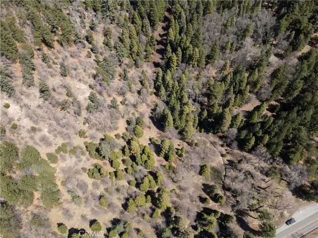 a view of a city with lush green forest