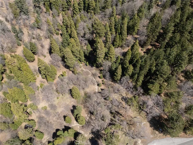 a view of a forest with lush green forest