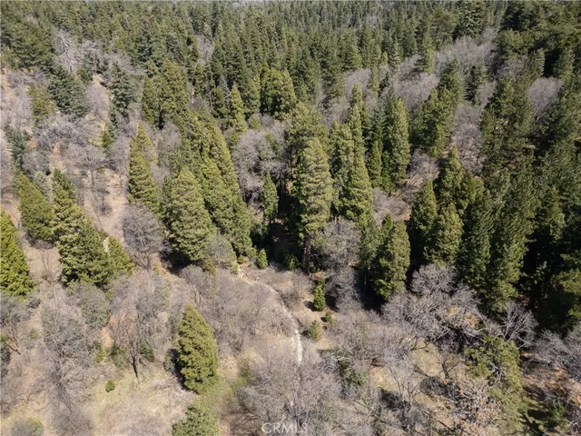 a view of a dry yard with trees in the background