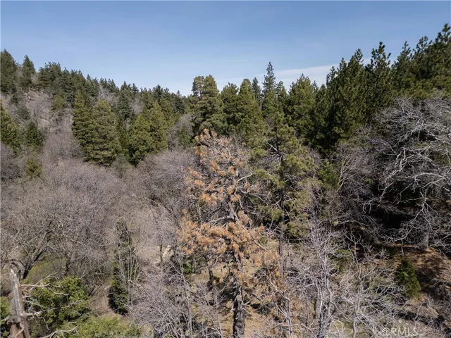 $1,475,000 | 0 State Hwy 18, Rimforest, CA 92378