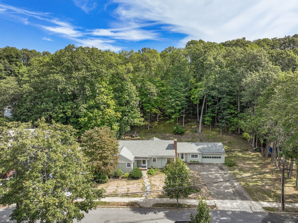 38 East Quinobequin Road Newton, MA 02468 - Photo 9 of 40