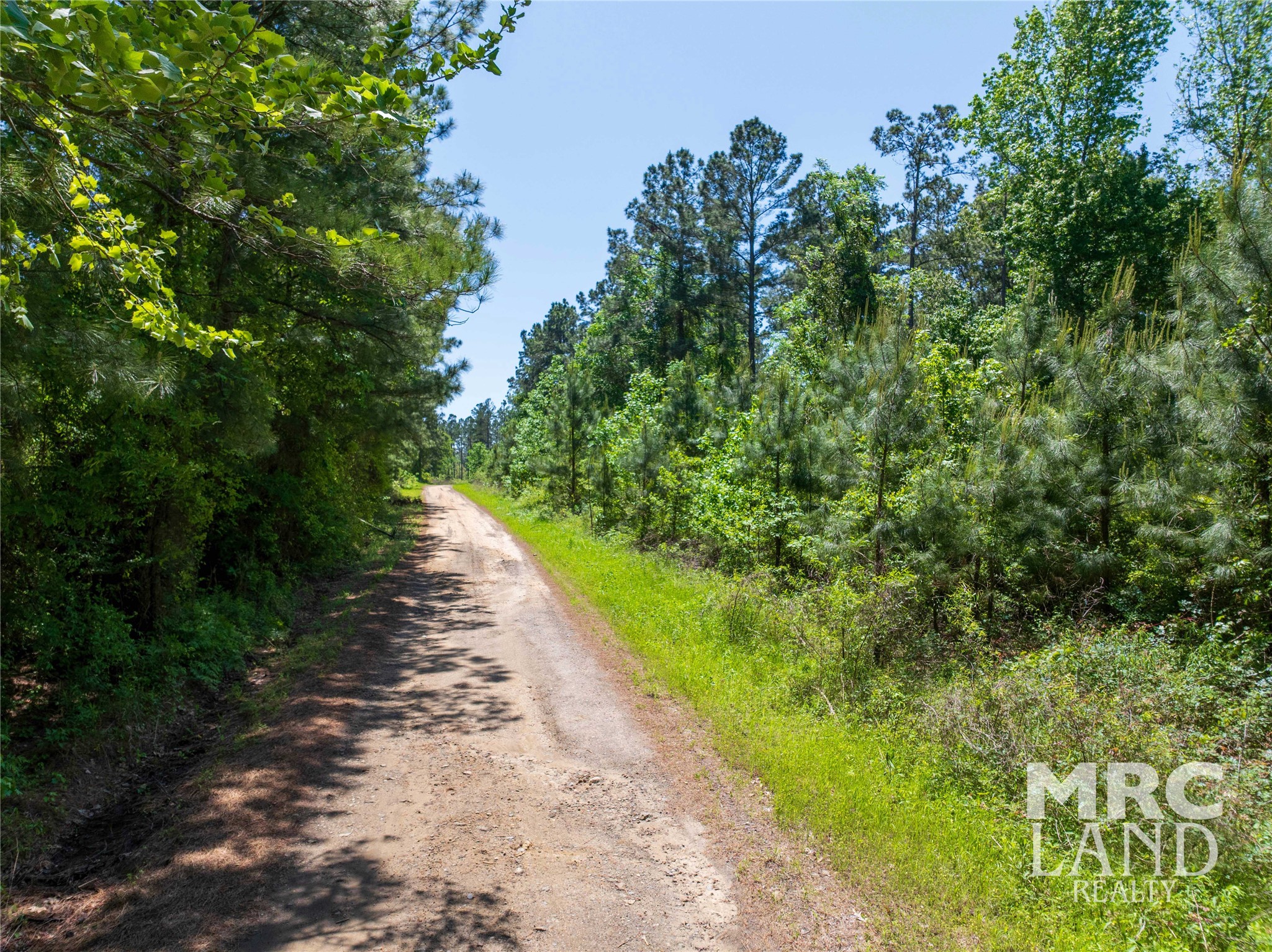 0 County Road 177 Garrison, TX 75946 - Photo 11 of 48