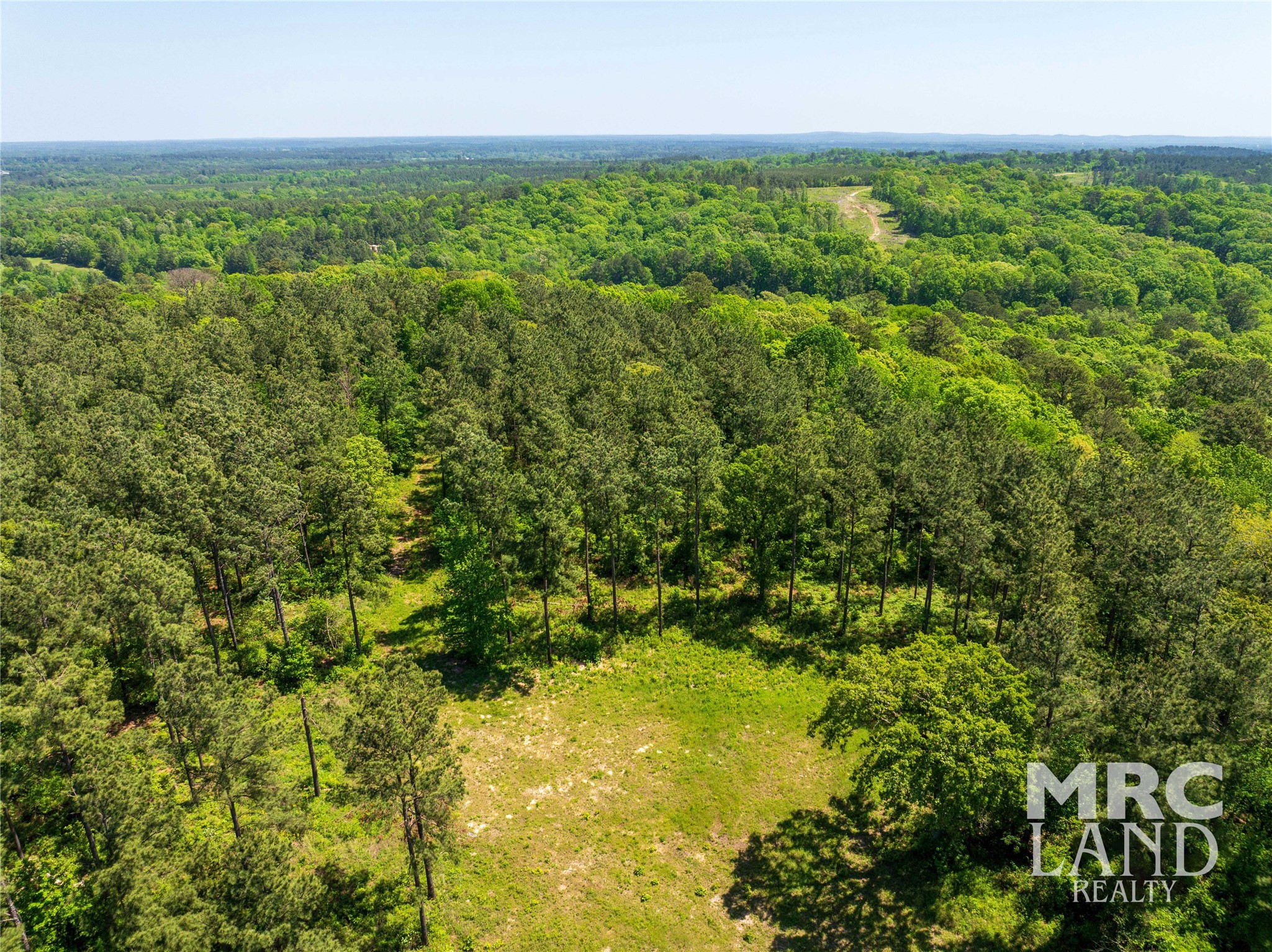 0 County Road 177 Garrison, TX 75946 - Photo 31 of 48