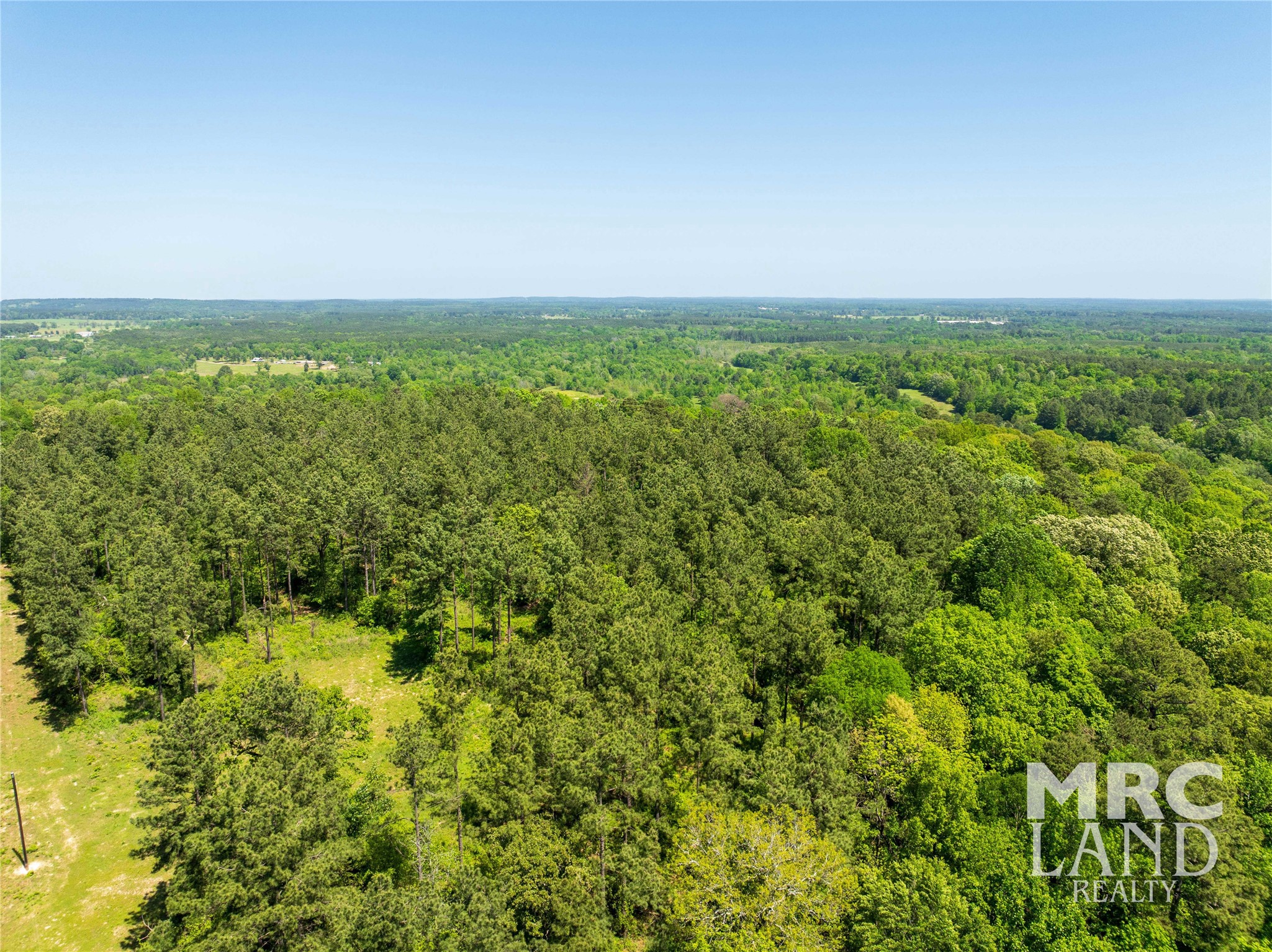 0 County Road 177 Garrison, TX 75946 - Photo 33 of 48