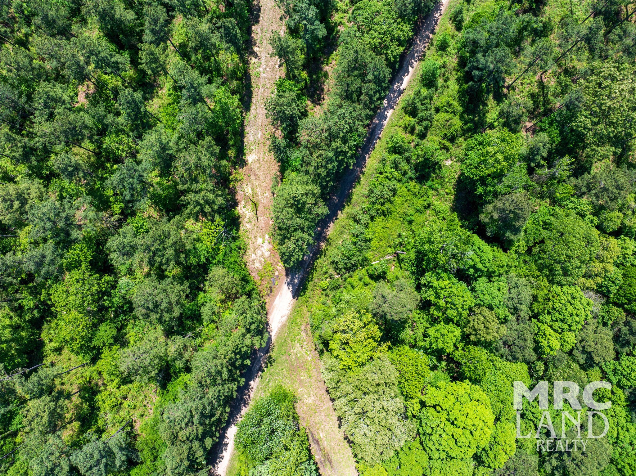 0 County Road 177 Garrison, TX 75946 - Photo 36 of 48