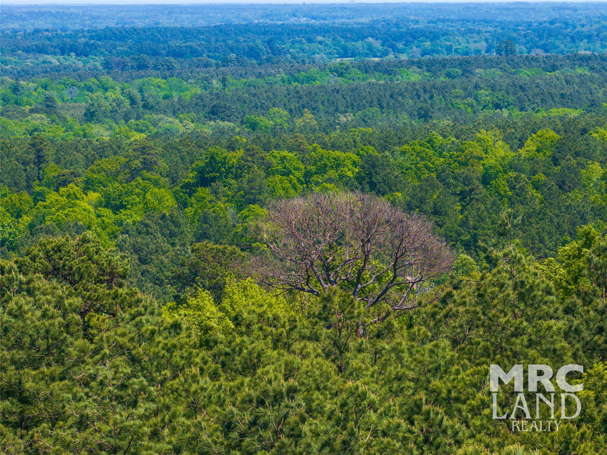 0 County Road 177 Garrison, TX 75946 - Photo 38 of 48