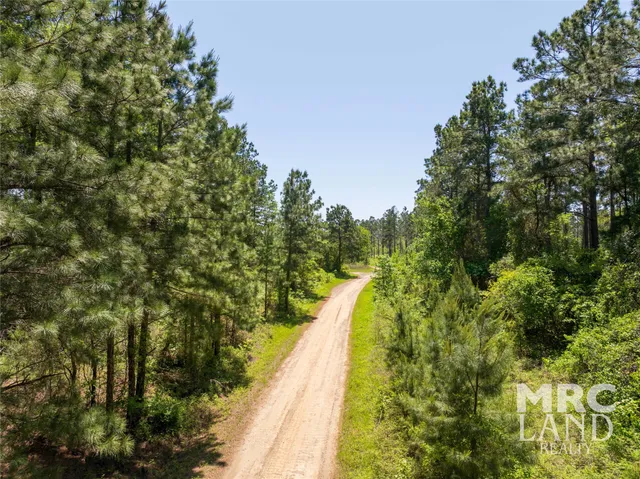 $99,300 | 0 County Road 177, Garrison, TX 75946