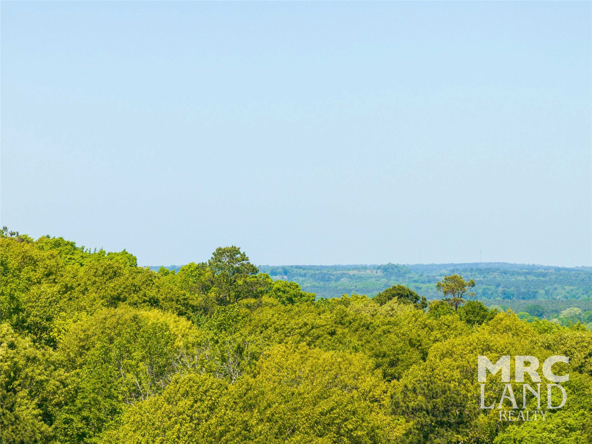 0 County Road 177 Garrison, TX 75946 - Photo 4 of 48