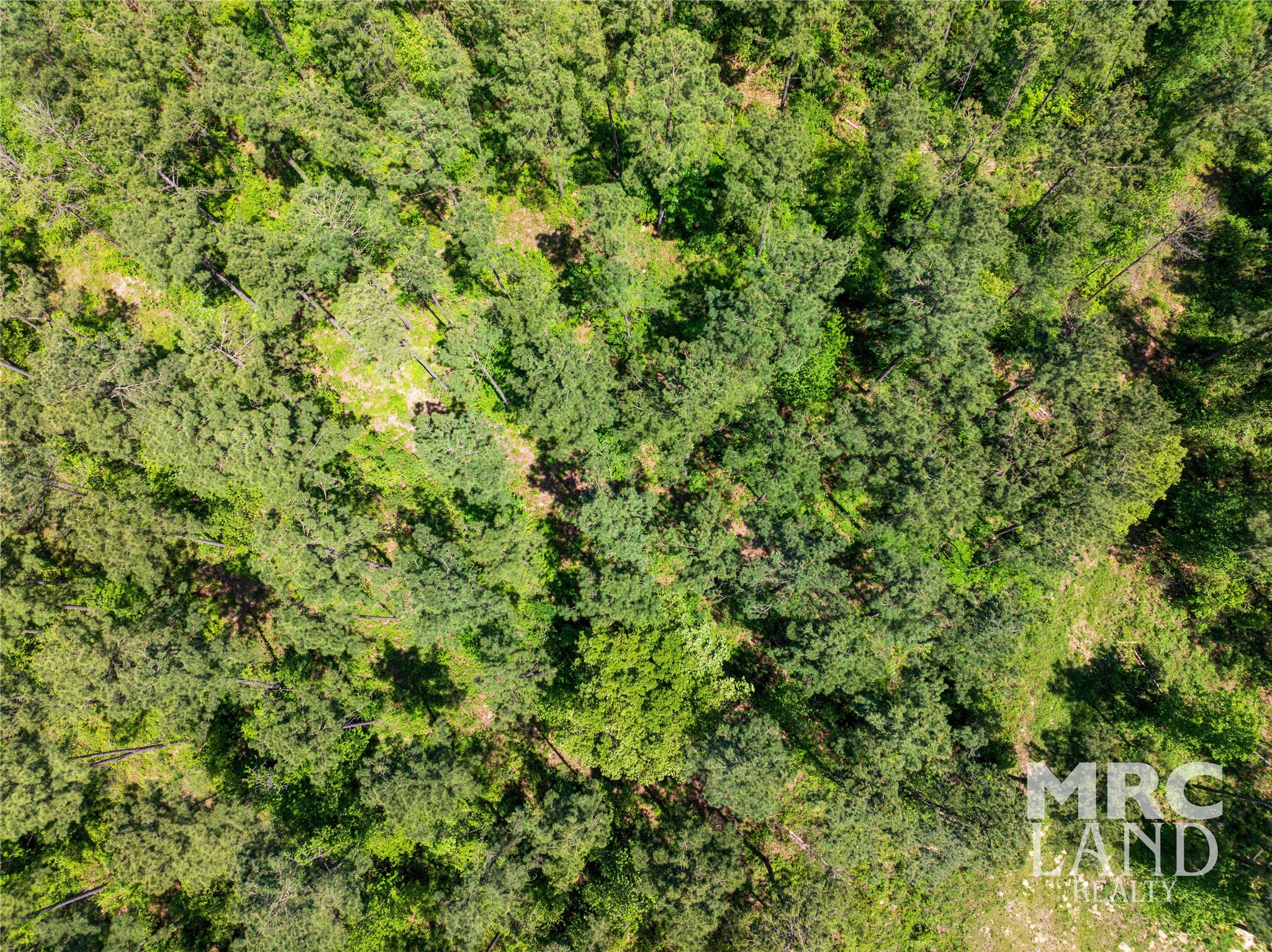 0 County Road 177 Garrison, TX 75946 - Photo 41 of 48