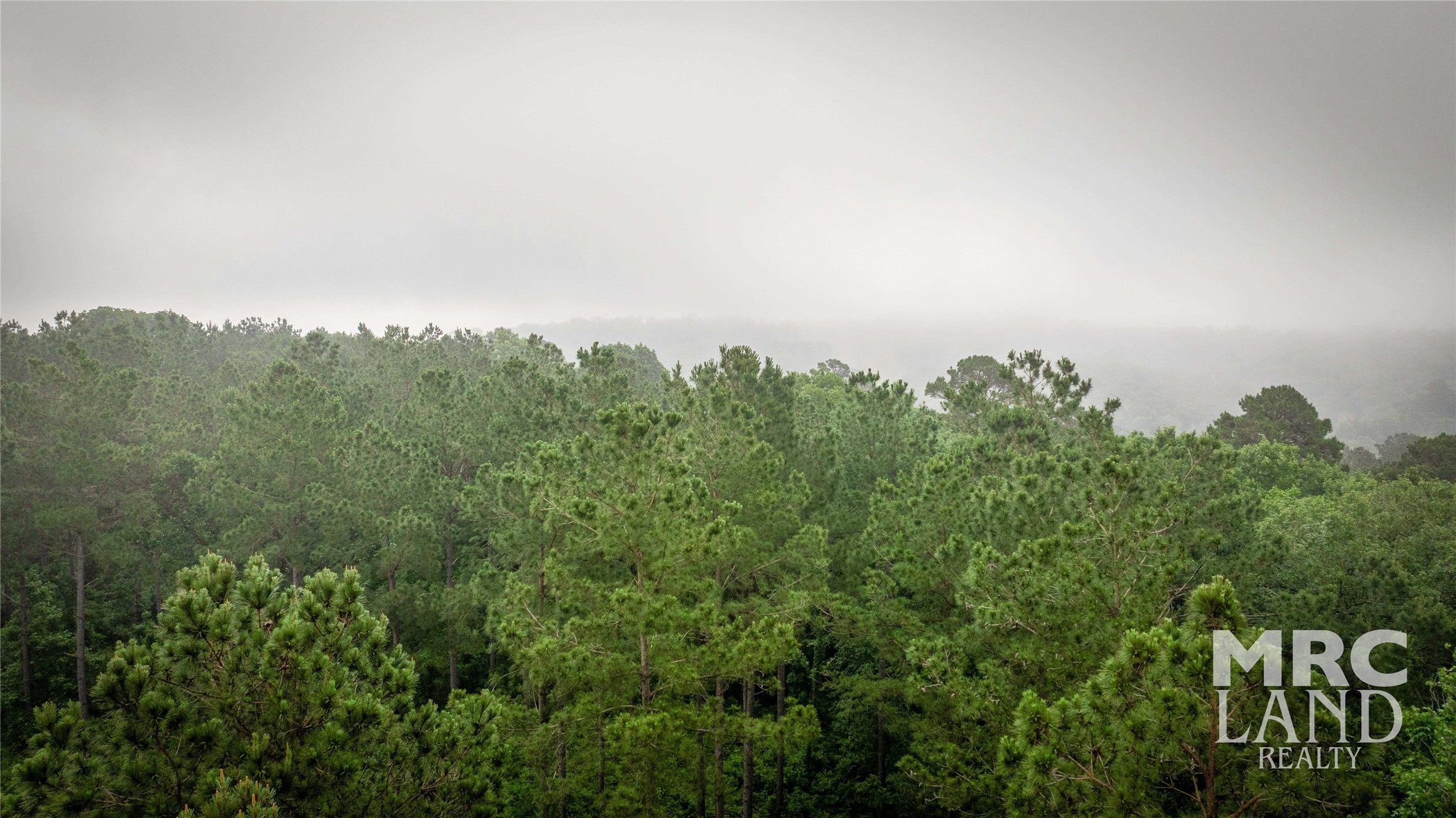 0 County Road 177 Garrison, TX 75946 - Photo 42 of 48