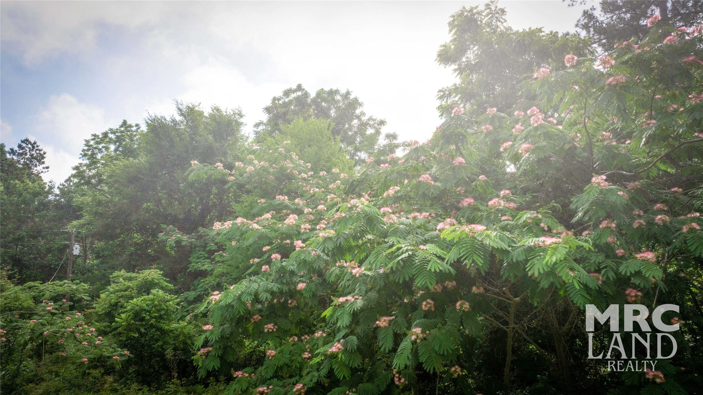 0 County Road 177 Garrison, TX 75946 - Photo 43 of 48