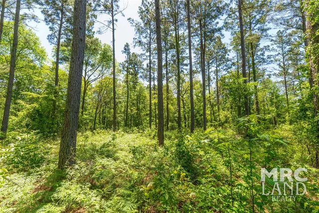 $99,300 | 0 County Road 177, Garrison, TX 75946