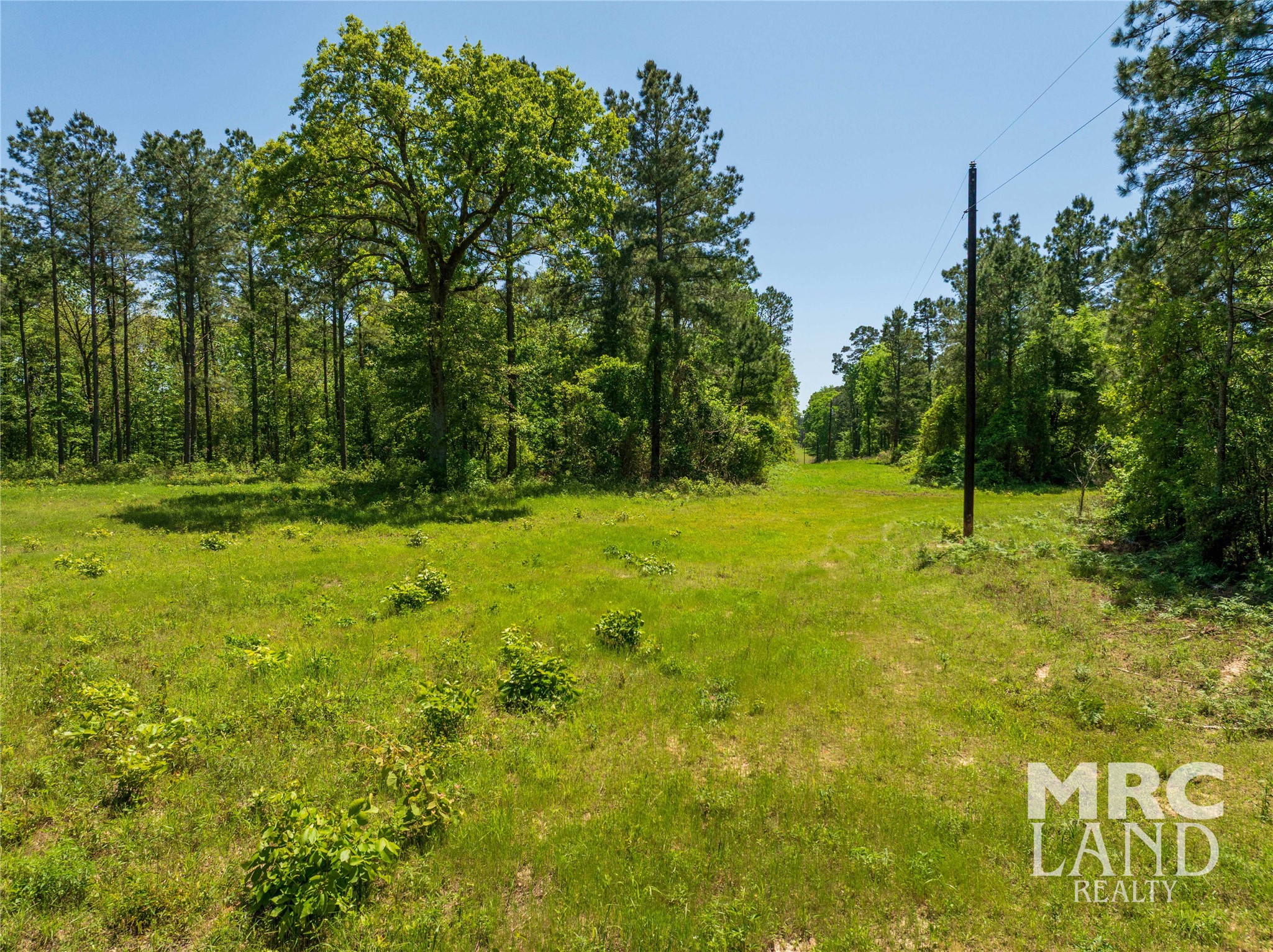0 County Road 177 Garrison, TX 75946 - Photo 6 of 48