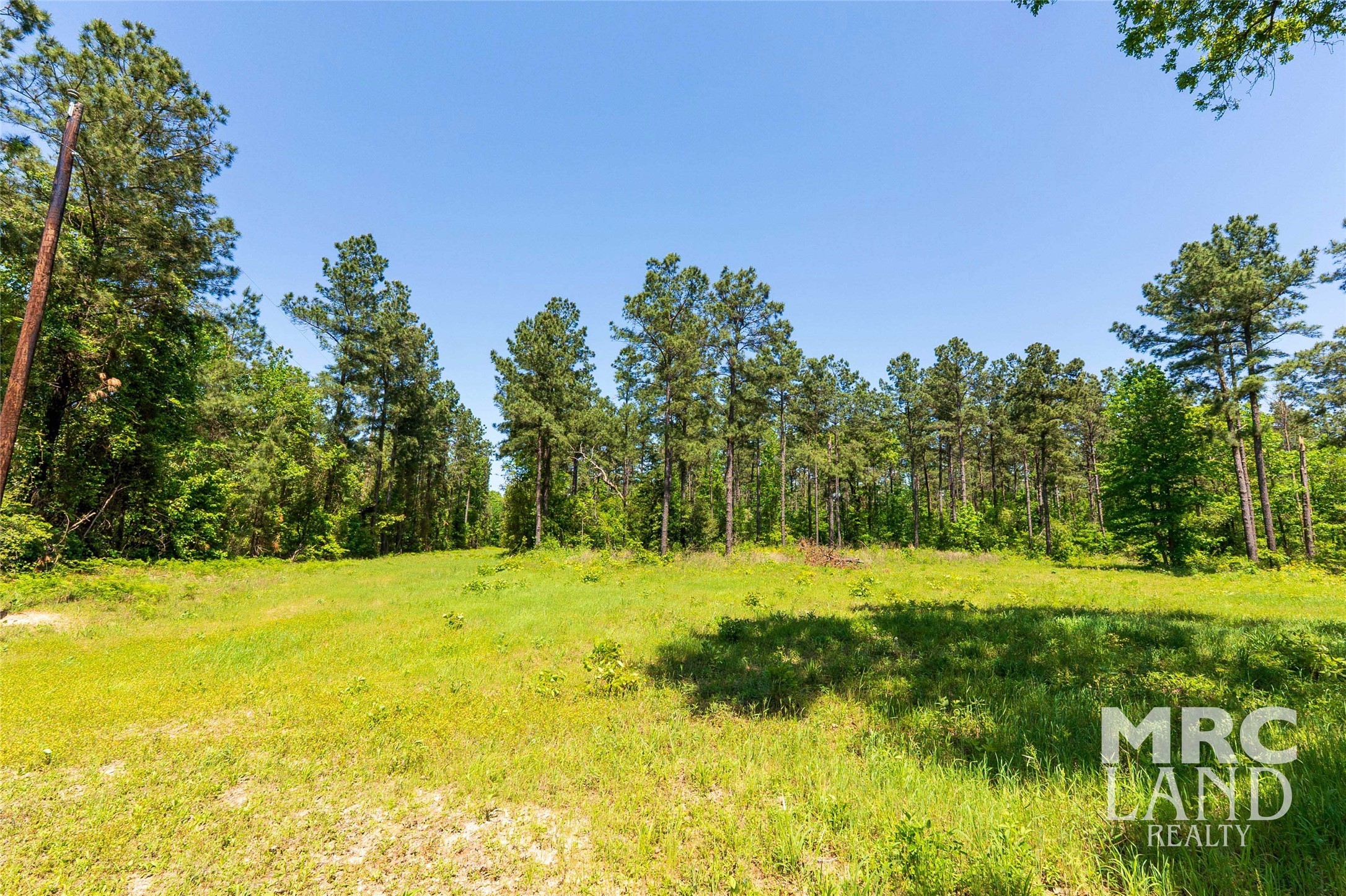 0 County Road 177 Garrison, TX 75946 - Photo 10 of 48