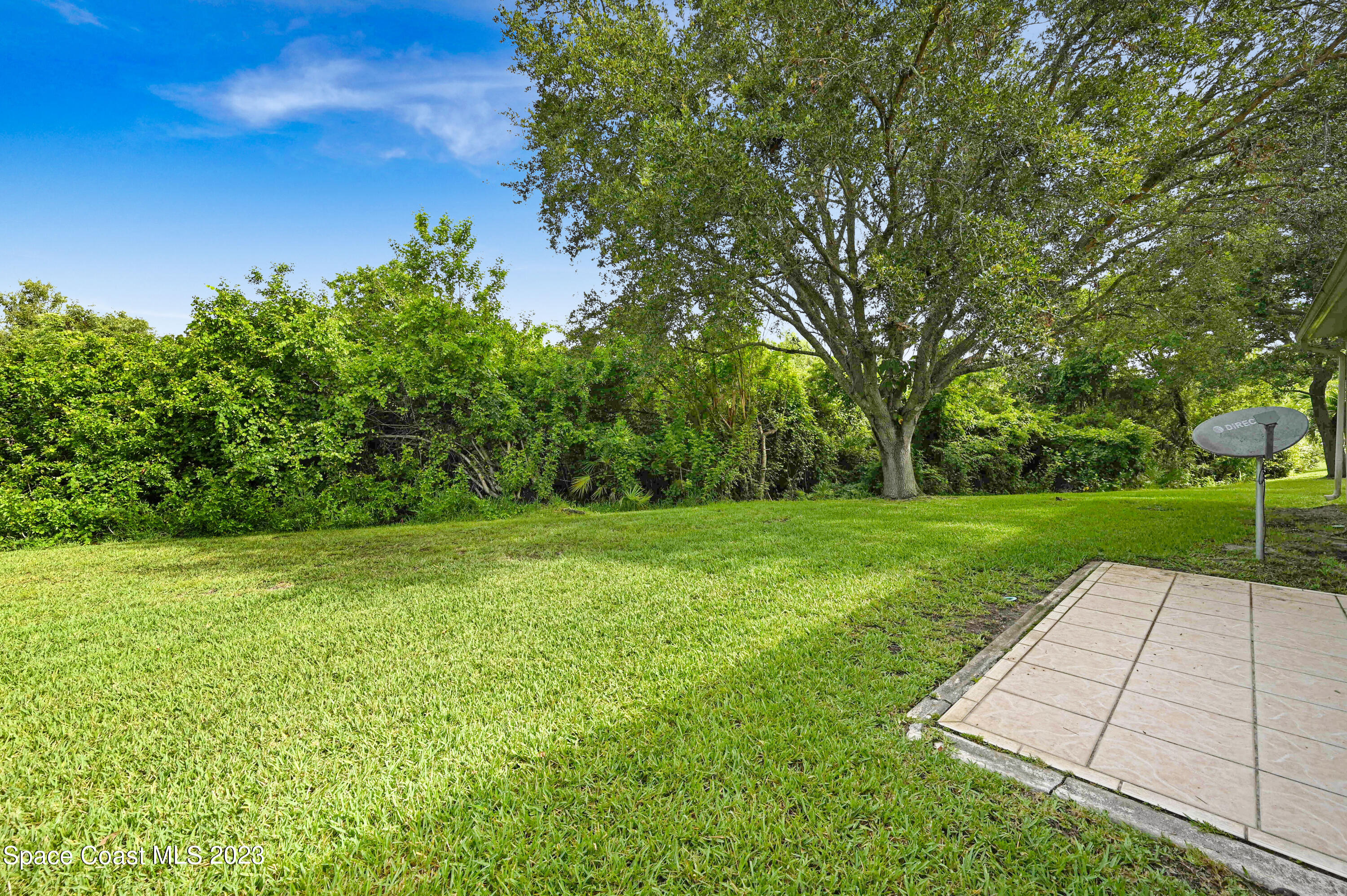 368 Renaissance Avenue Melbourne, FL 32940 - Photo 26 of 29 a view of a yard with plants and large trees