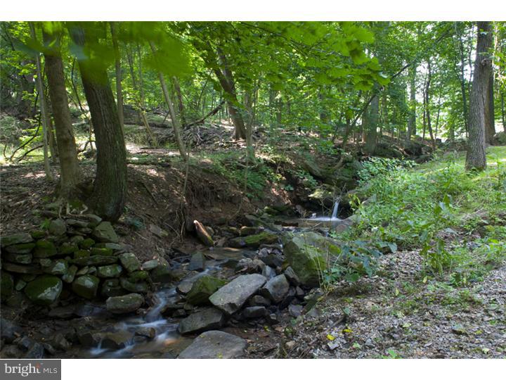 6670 Phillips Mill Road New Hope, PA 18938 - Photo 9 of 14 Side Yard