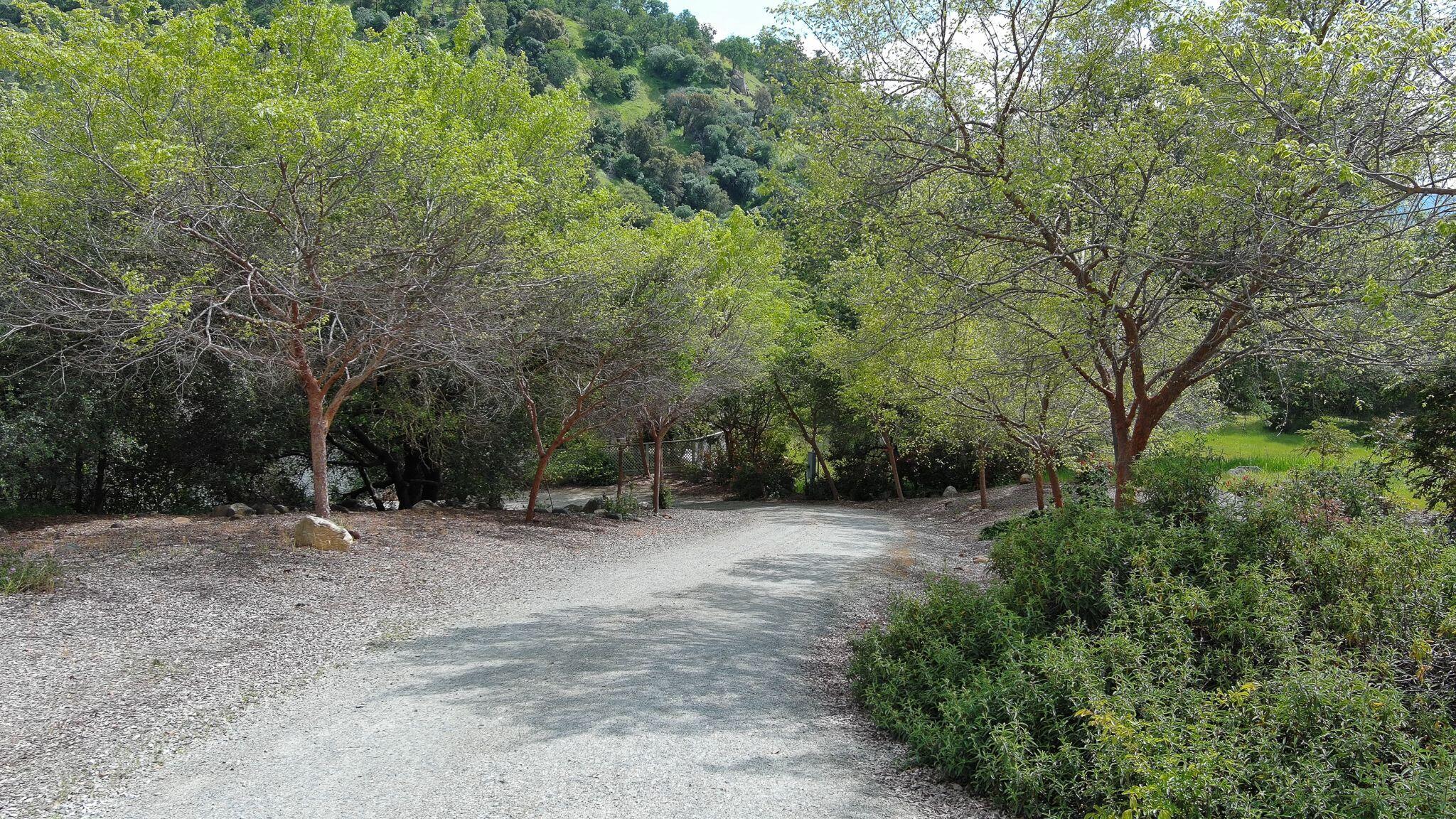 42440 Kaweah River Drive Three Rivers, CA 93271 - Photo 126 of 135 kr33