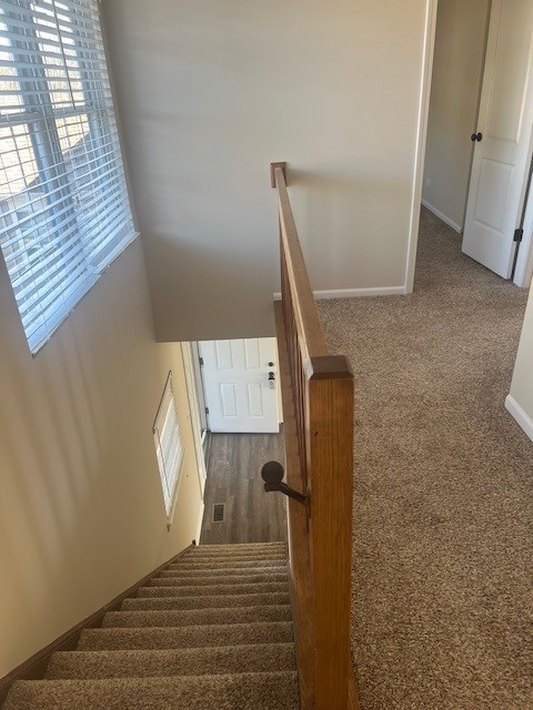 1842 Shetland Road Naperville, IL 60565 - Photo 20 of 30