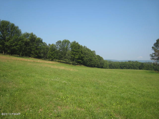 82 Shaffer Road Lake Ariel, PA 18436 - Photo 10 of 68