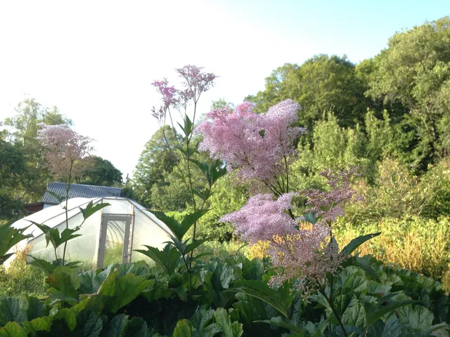 $415,000 | 1325 Poor Farm Road, Washington, VT 05675