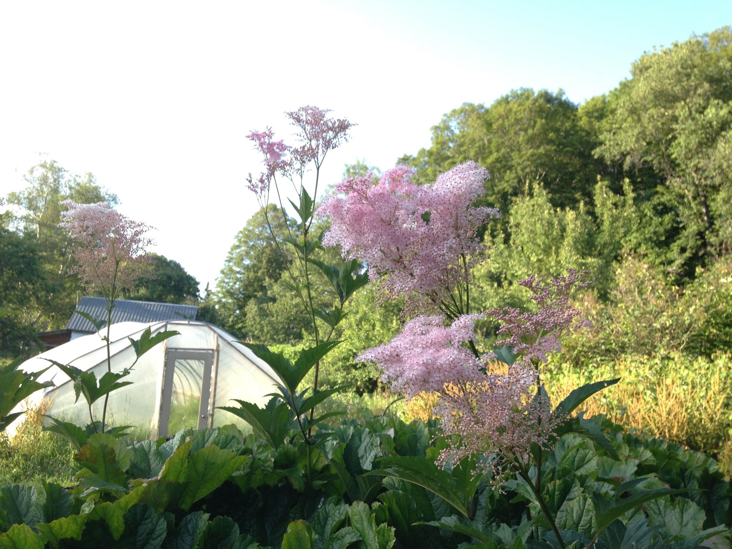 1325 Poor Farm Road Washington, VT 05675 - Photo 51 of 60