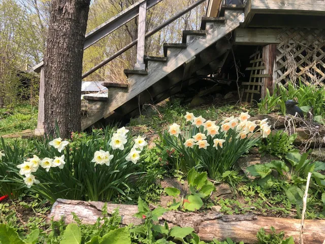 $415,000 | 1325 Poor Farm Road, Washington, VT 05675