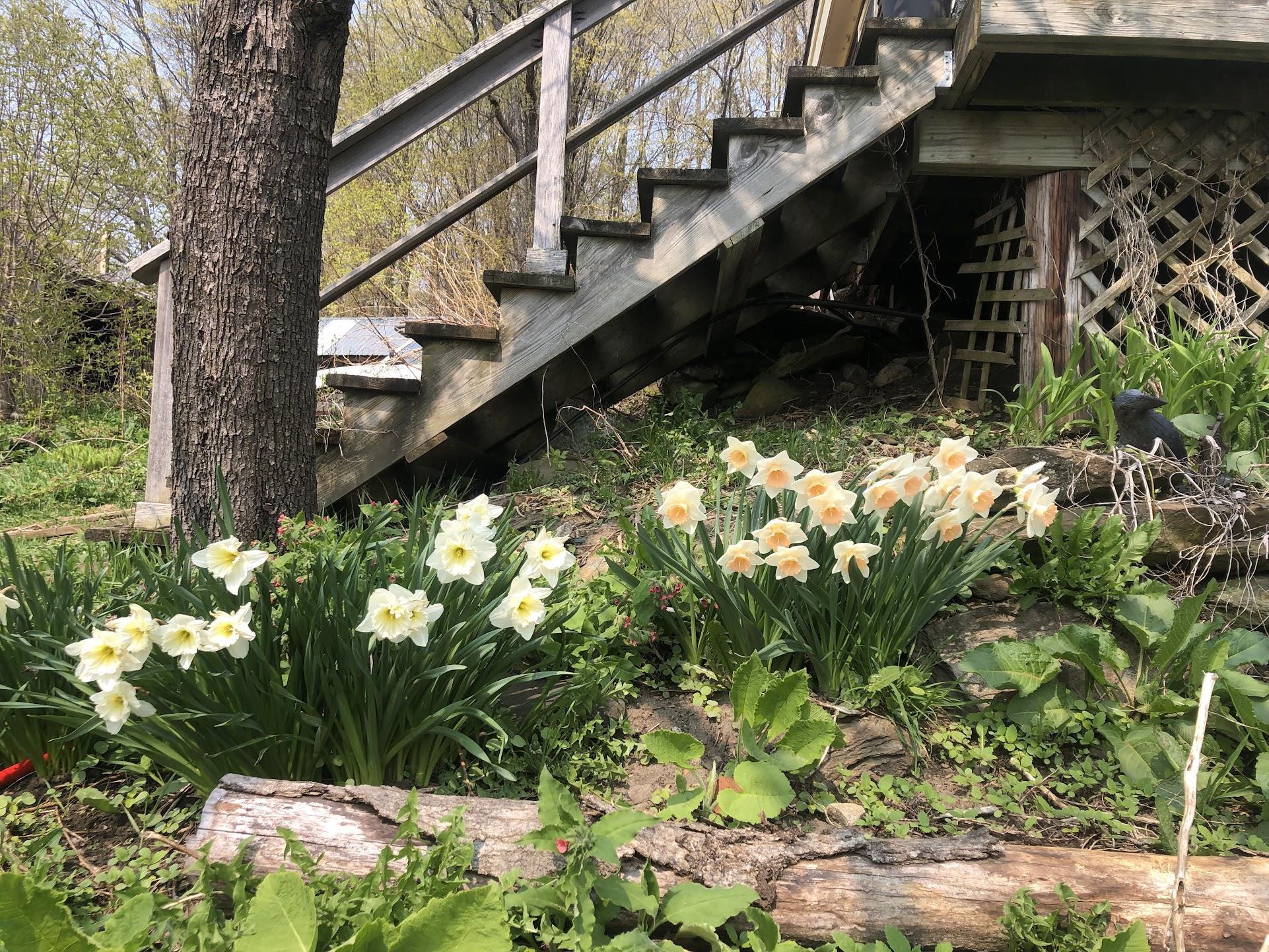 1325 Poor Farm Road Washington, VT 05675 - Photo 52 of 60