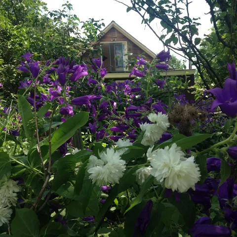 $415,000 | 1325 Poor Farm Road, Washington, VT 05675