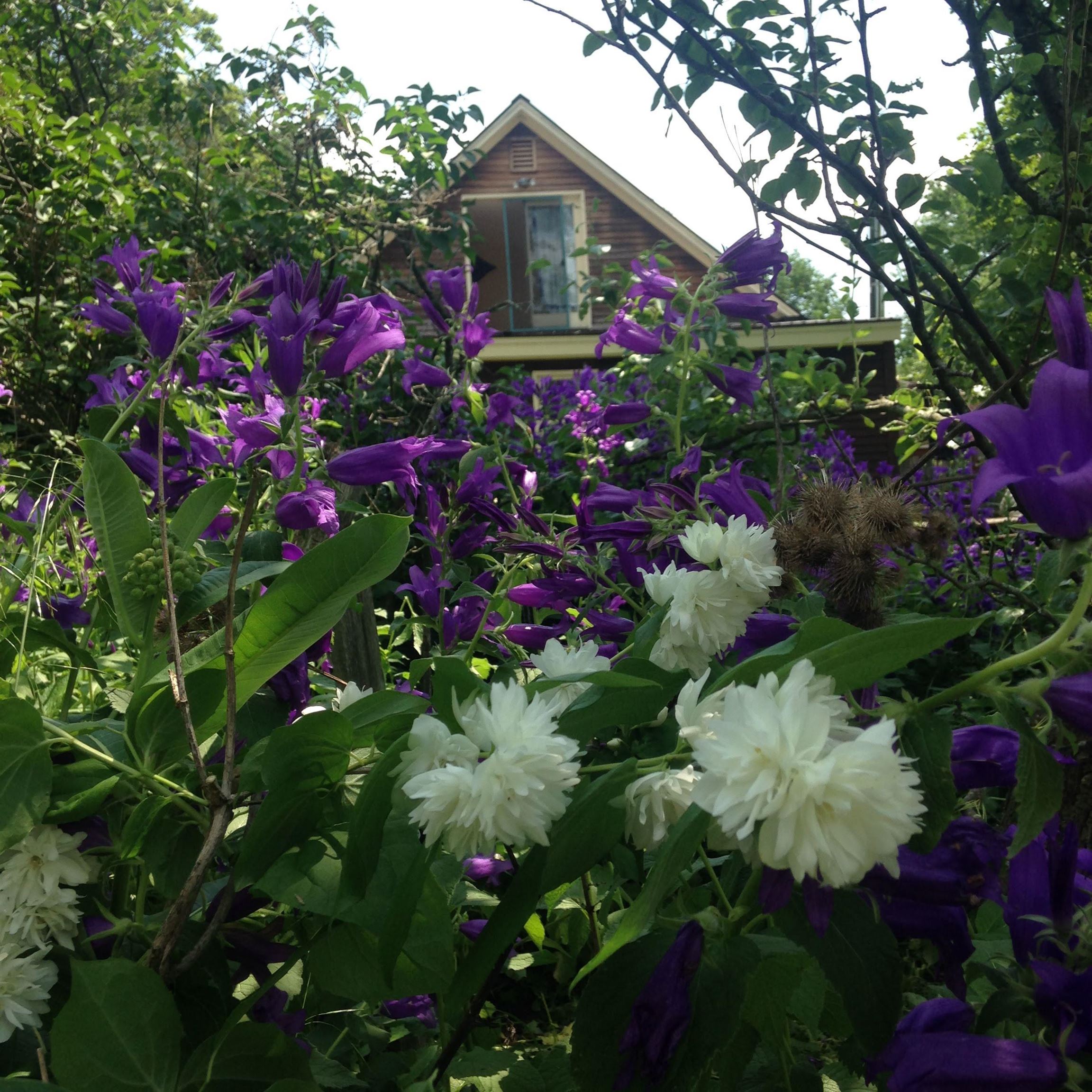 1325 Poor Farm Road Washington, VT 05675 - Photo 53 of 60