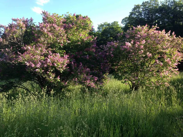 $415,000 | 1325 Poor Farm Road, Washington, VT 05675