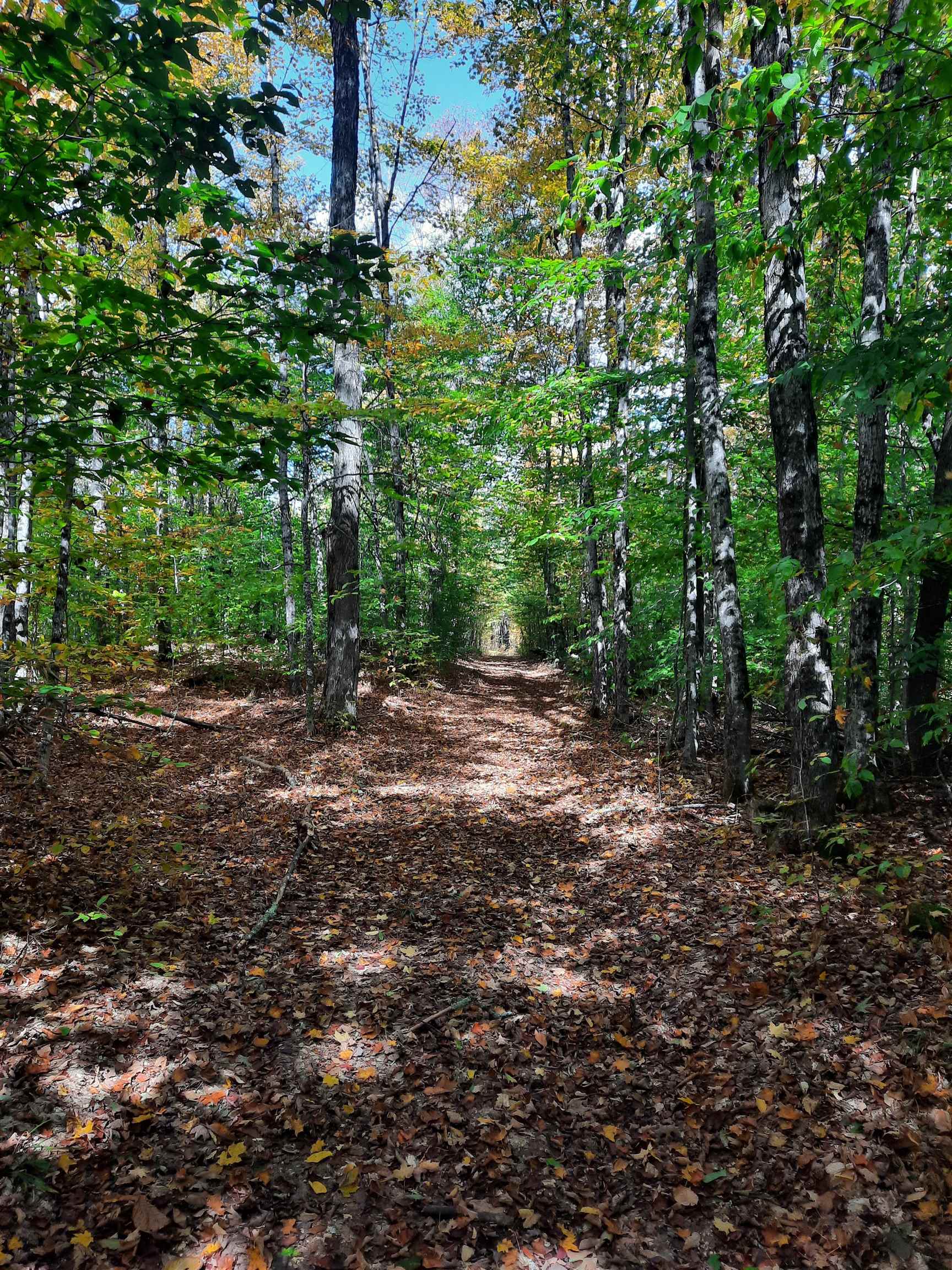 1325 Poor Farm Road Washington, VT 05675 - Photo 59 of 60