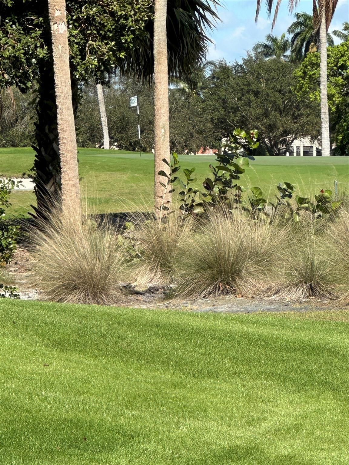 954 Mockingbird Lane, Unit 519 Plantation, FL 33324 - Photo 11 of 61 Photo 11