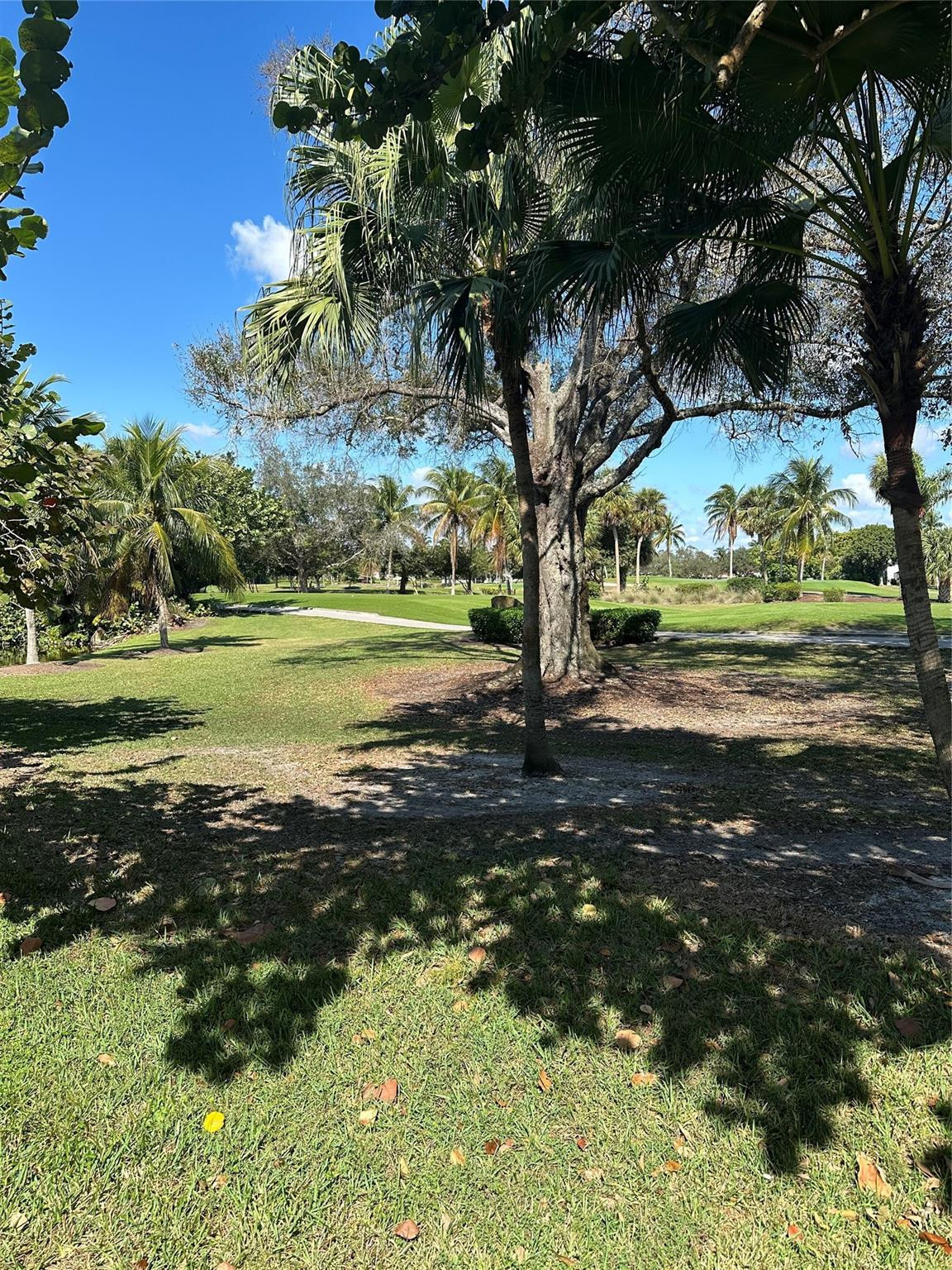 954 Mockingbird Lane, Unit 519 Plantation, FL 33324 - Photo 32 of 61 Photo 32